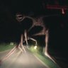 デバウアー 的头像