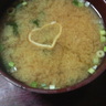 しょうたろう's profile picture