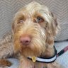 Lynn profil fotoğrafı