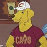 Sad Cavs Fan (Sad)'s profile picture