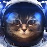 Фото профиля SpaceCat