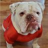 🔴⚫️Dawg Pound🔴⚫️ profil fotoğrafı