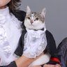 A Gata Zara's profile picture