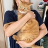 まっちょあい 的头像