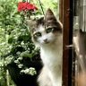 nilce profil fotoğrafı