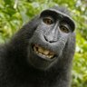 Фото профиля macaco bolado