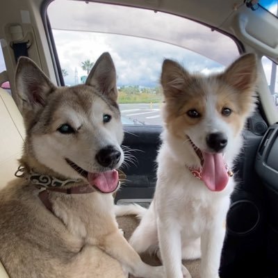 omugi21's profile picture
