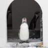 しんのすけ profil fotoğrafı