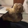 nnnnnnn 的头像