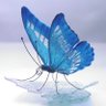 Glass wing butterfly's profile picture
