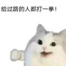 胖z's profile picture