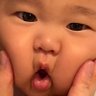 きなこ's profile picture