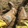 Hi Viz Booted 的头像