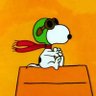 Timon Zhao's profile picture