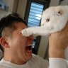 画像予報士's profile picture