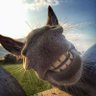 ColoradoBen's profile picture