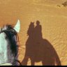 سلطان's profile picture