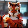 Profilbild von OrangeTiger1995