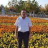 Ali gök's profile picture