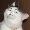 Profilbild von (┛ಠ_ಠ)┛彡┻━┻