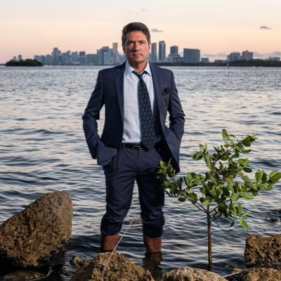 LOUISAGUIRRE's profile picture