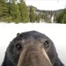 Asher Reising profil fotoğrafı