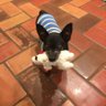 Carlee profil fotoğrafı
