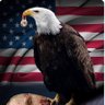 Profilbild von Tiny 🇺🇸🇺🇦