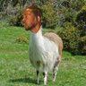 Kendrique Llama 的头像