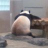 pon 的头像