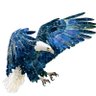 Фото профиля The Eagle Is Free