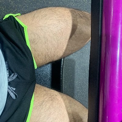 Ale Montalvo's profile picture