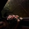 Фото профиля Nujood Alowais