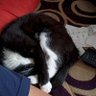 Michael 的头像