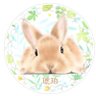 🐰琥珀☘️ ⟡.·𓈒 ˖ ࣪ 𝜗𝜚 的头像