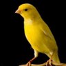 11meemo21 profil fotoğrafı