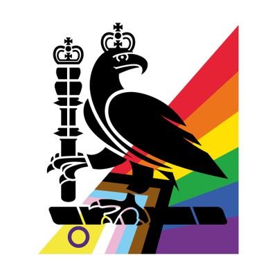 Pride in Surgery Forum's profile picture