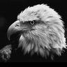 Profilbild von Jayson Jay 🇺🇸🇺🇸🇺🇸
