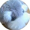 かるら's profile picture