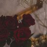 صُوفيا's profile picture
