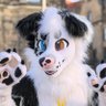 Bruce🍉🎾Furizon🇮🇹East🇩🇪's profile picture