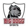 BigDoggSports's profile picture