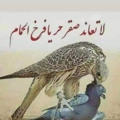al3aish7's profile picture