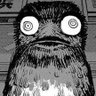 Bucky's profile picture