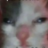 Profilbild von 7th SoupRat