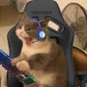 Viciado em Ibuprofeno profil fotoğrafı