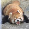 . 的头像