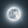 Ceylan Kurt's profile picture