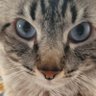 Profilbild von biaavck
