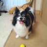 jyackmama ゲームは始まったばかりなのさ's profile picture